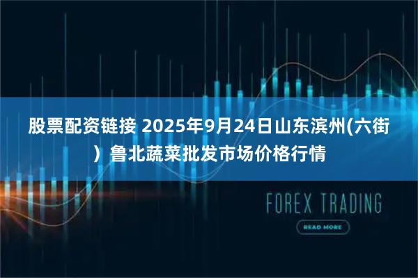 股票配资链接 2025年9月24日山东滨州(六街）鲁北蔬菜批发市场价格行情
